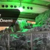 Dinimizde Umrenin Yeri, Umrenin Önemi